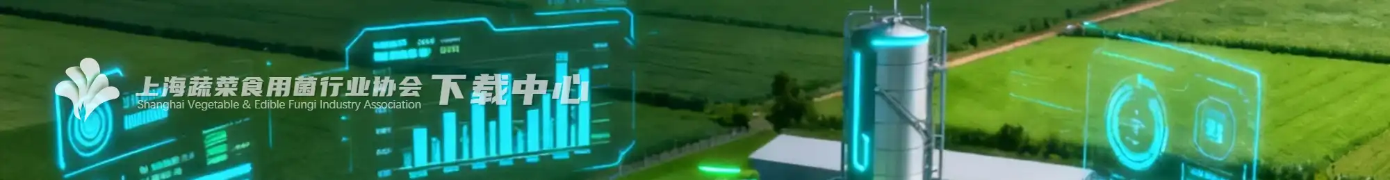 协会简报2025年8期