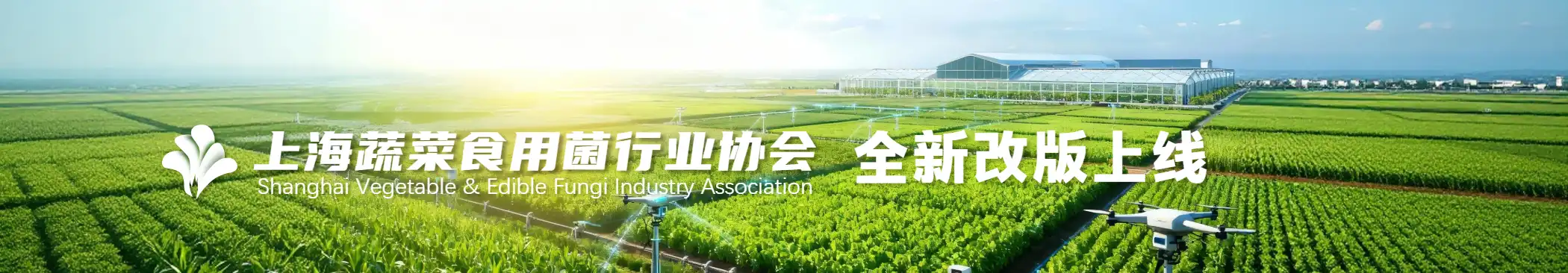 上海蔬菜食用菌行业协会